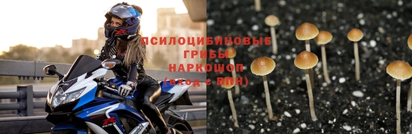 кокаин Каменка
