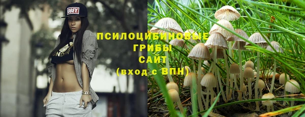кокс Каменногорск