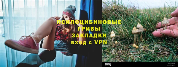 шишки Каменск-Шахтинский