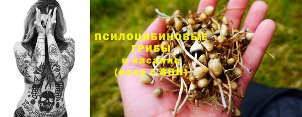 кокаин Каменка