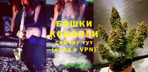 MDMA Premium VHQ Карпинск