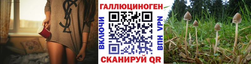 где продают   Ижевск  Псилоцибиновые грибы Psilocybine cubensis 